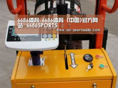6686体育案例展示三